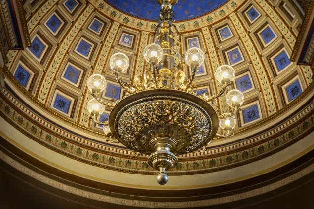 _DSC3183Ruona16.jpg Bild på Universitetesaulans innetak.