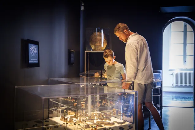 LUHM Skattjakt.jpg I ett mörkt rum står en liten pojke och hans pappa och blickar ned över en upplyst väggmonter fylld av arkeologiska föremål