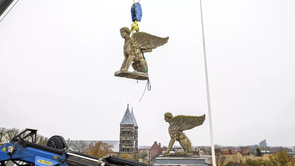 Den första sfinxen lyftes ner från Universitetshusets tak utan problem, lyft av en kranbil
