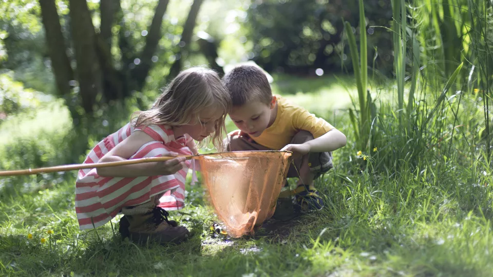 Två barn undersöker vad de fiskat upp ur en damm med sin håv. Foto. 