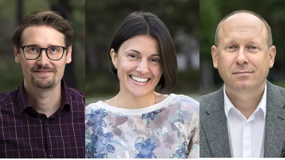 Tre nya Wallenberg Academy fellows: Jan Marcus Dahlström, VladislavaStoyanova och Per Anders Rudling 