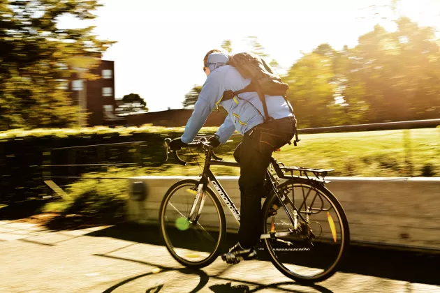 Någon cyklar en solig vårdag.