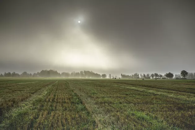 Foto på åker i dimma