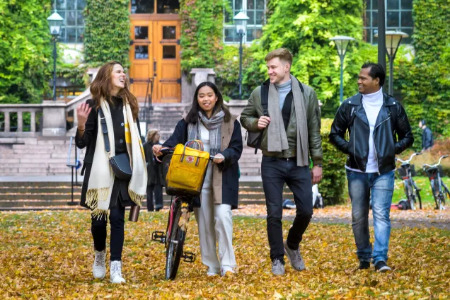 Fyra studenter går bland höstlöven utanför UB, universitetsbiblioteket. Foto Kennet Ruona.