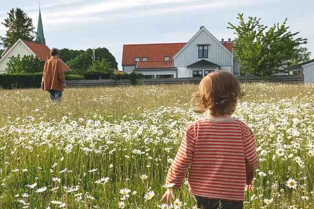 Barn på äng. Foto.