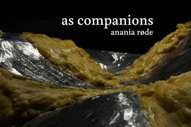 as companions nettside.png foto av okänt föremål i brunt och svart