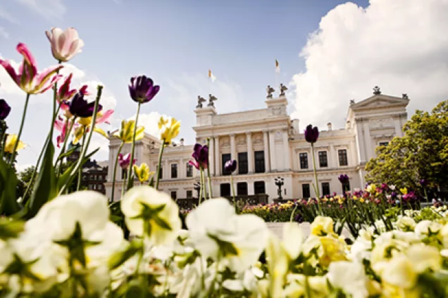 Universitetshuset med blommor i förgrunden.