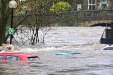 Bilar under vatten vid översvämning. Foto.