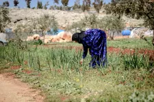 Bild på syrisk kvinna som arbetar på ett fält.