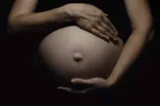 bild på gravid kvinna. foto.