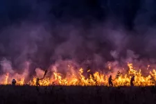 brand på fält