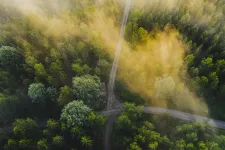 Flygbild över skog med olika vägar samt upplagt timmer. Foto.