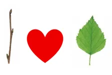 Höstlov 2025.png illustration av i love löv med kvist hjärta och blad