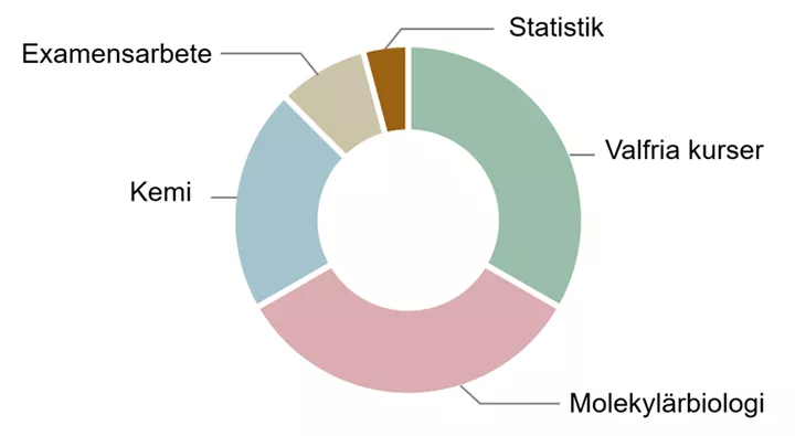 Cirkeldiagram över innehållet i utbildningen.