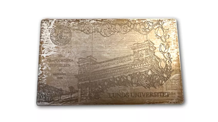 Närbild på Lunds universitets silverplakett med universitetetshuset och magnolior avbildade. Foto.