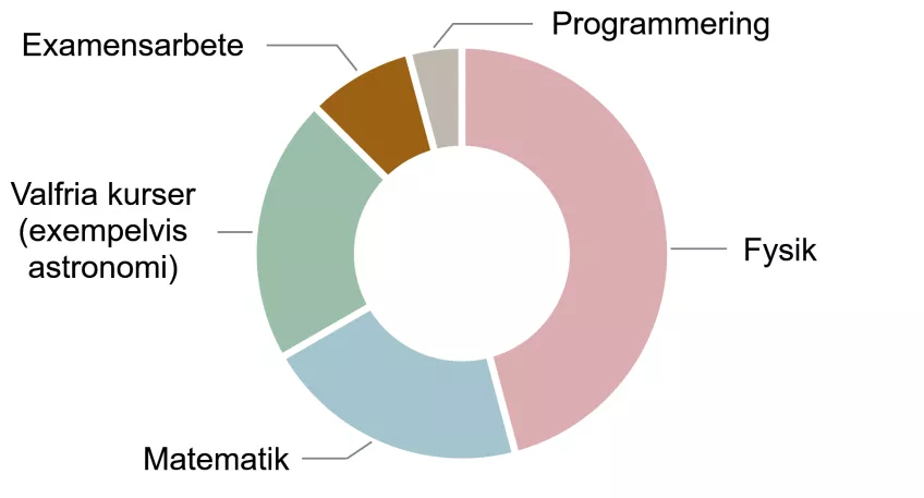 Diagram över utbildningens innehåll. Illustration.