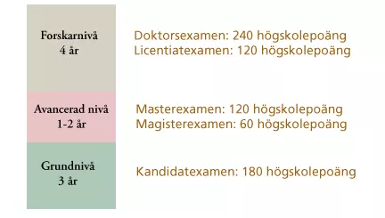 Översikt över olika examina. Illustration.