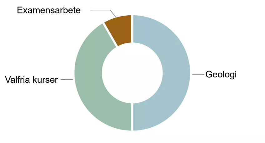 Diagram över utbildningens innehåll. Illustration.