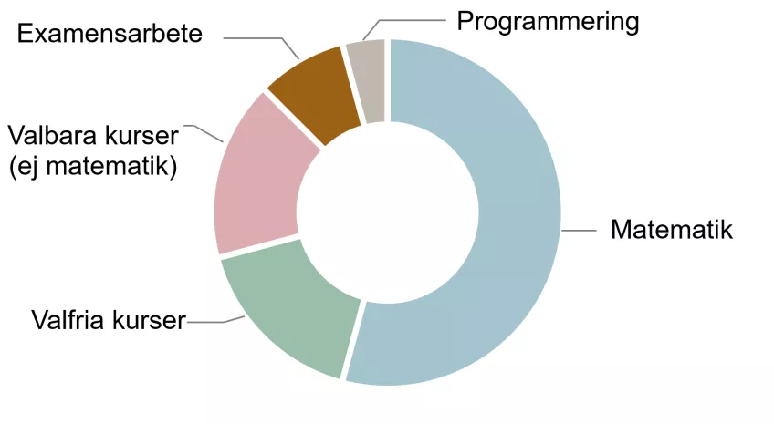 Diagram över utbildningens innehåll. Illustration.