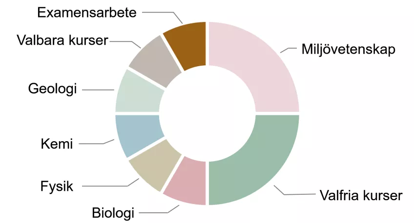 Diagram över utbildningens innehåll. Illustration.