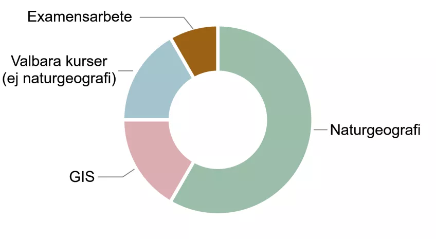 Diagram över utbildningens innehåll. Illustration.